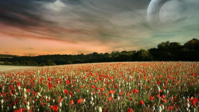 目前最具性价比的全栈路线是啥?